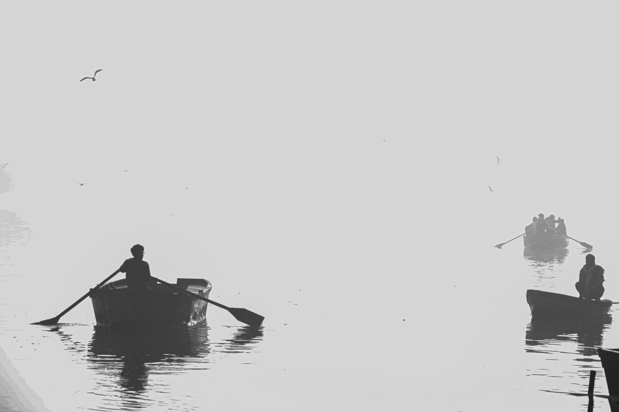 Rowboats and birds emerging through bright morning haze