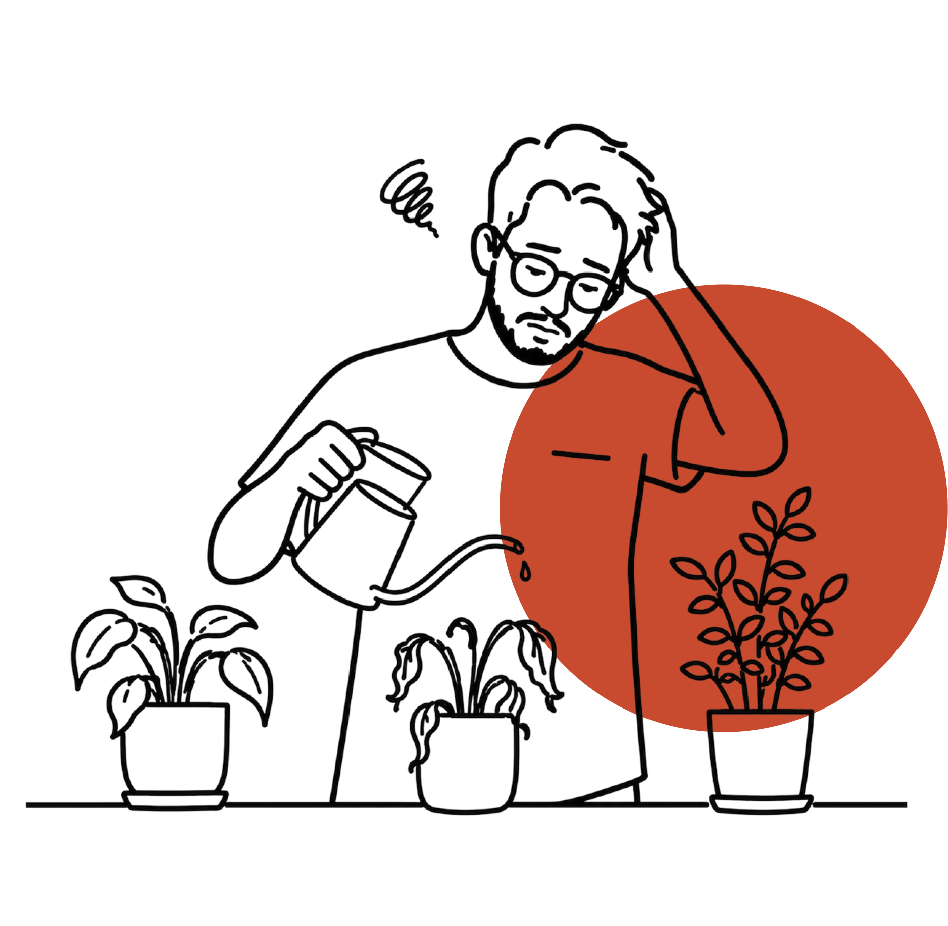 A person watering three houseplants
